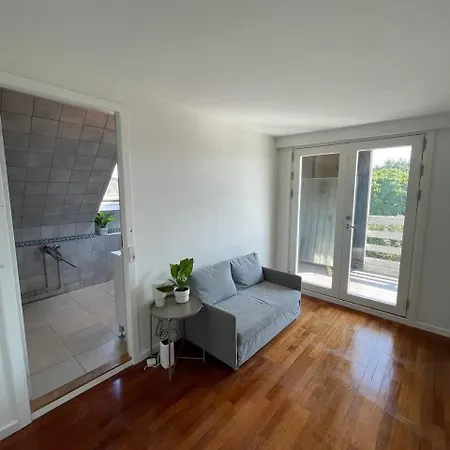 דירה Fully Furnished With Shared Kitchen And Bathroom7